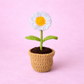 Handmade Crochet Daisy Flower Pot – Cute Mini Crochet Plant | Crochet By Pihu - Crochet By Pihu
