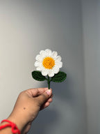 Handmade Crochet Daisy Fridge Magnet – Decorative Crochet Flower Magnet | Crochet By Pihu - Crochet By Pihu