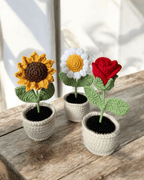 Handmade Crochet Flower Pot – Mini Amigurumi Plant Décor | Crochet By Pihu - Crochet By Pihu