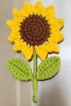 Handmade Crochet Fridge Magnets – Flower Amigurumi Magnets | Crochet By Pihu - Crochet By Pihu