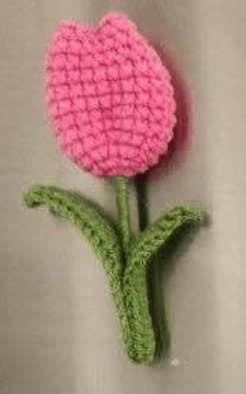 Handmade Crochet Fridge Magnets – Flower & Fruit Amigurumi Magnets | Crochet By Pihu - Crochet By Pihu