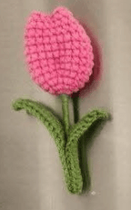 Handmade Crochet Fridge Magnets – Flower & Fruit Amigurumi Magnets | Crochet By Pihu - Crochet By Pihu